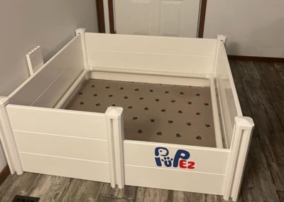 10 Best Whelping Boxes for Dogs | Cruzapet