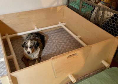 10 Best Whelping Boxes for Dogs | Cruzapet