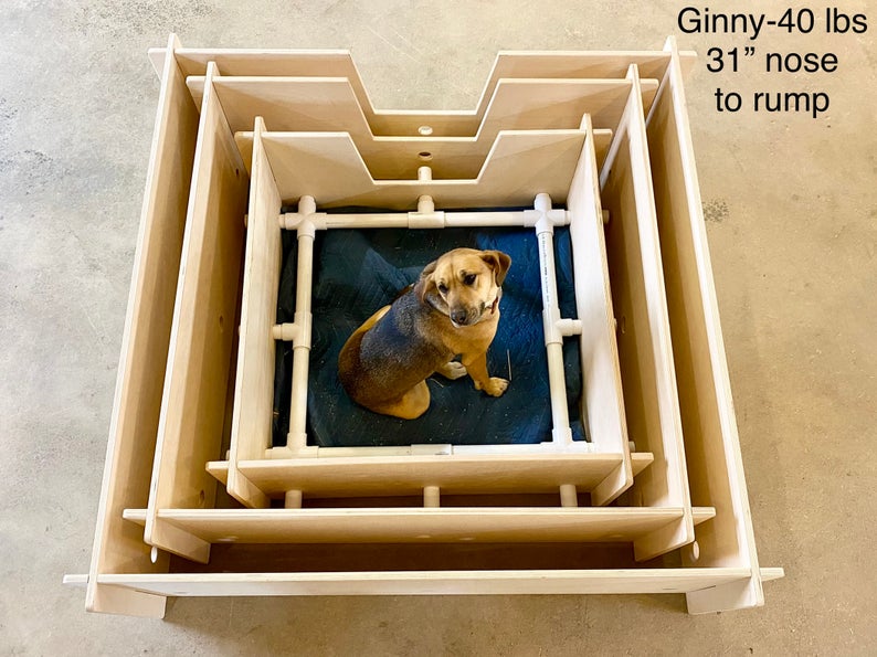 10 Best Whelping Boxes For Dogs In 2021 Features Pricing And Reviews