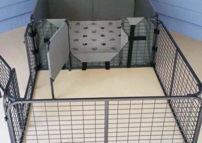 10 Best Whelping Boxes for Dogs | Cruzapet